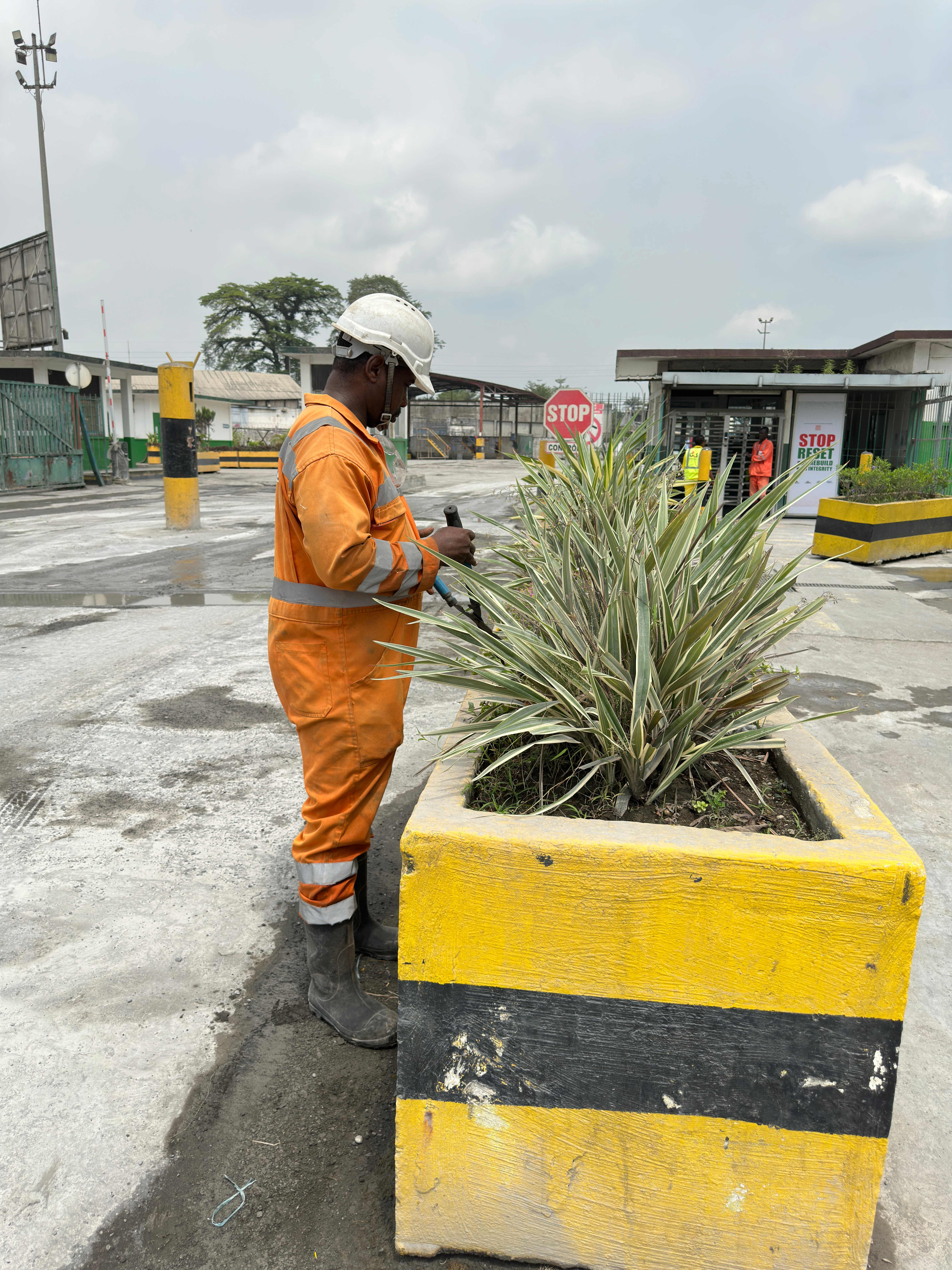ENEO Cameroun