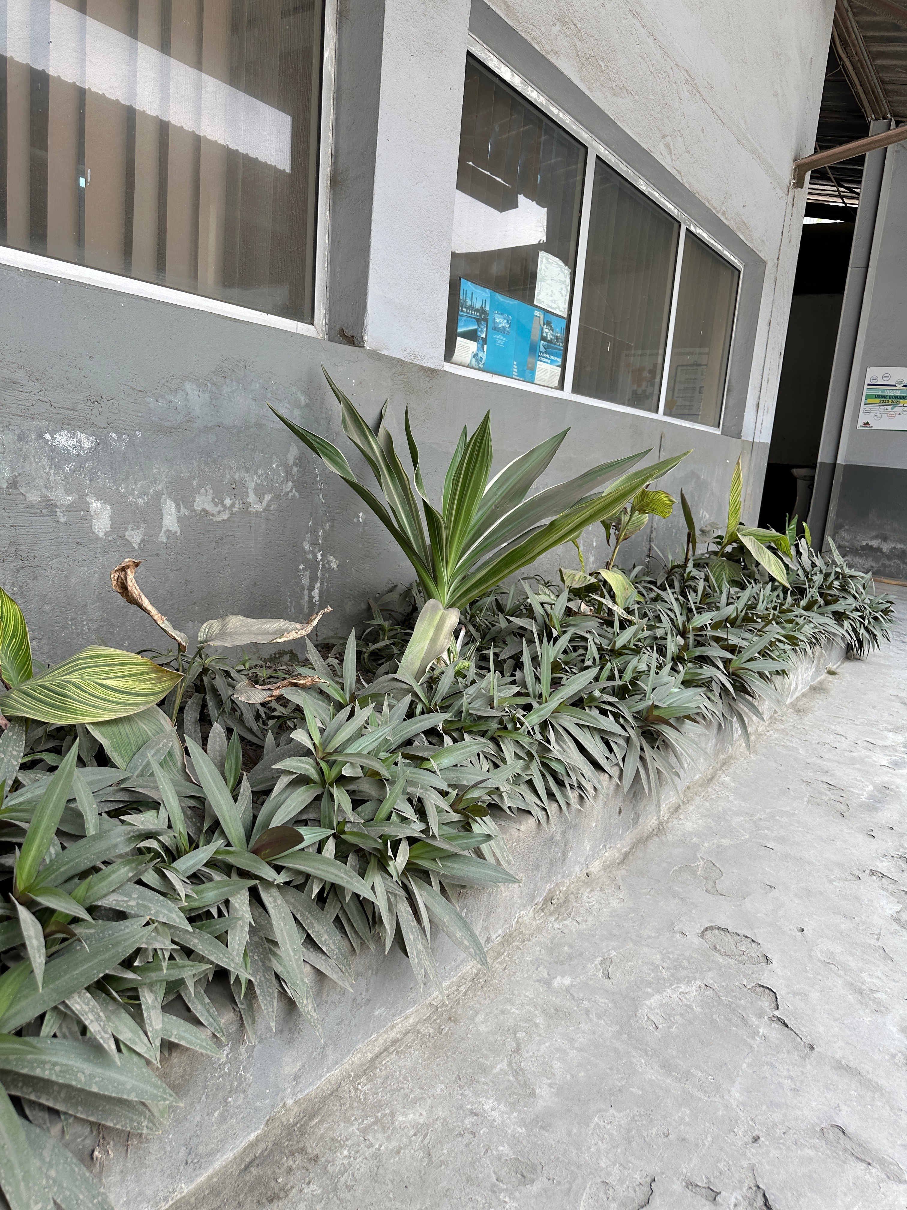 Hotel IBIS Douala